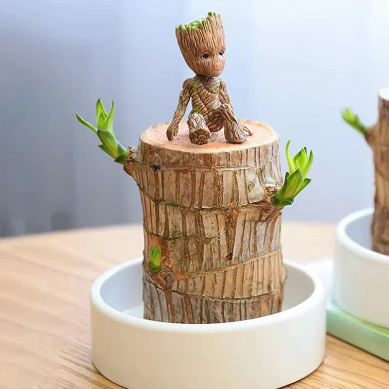 Brazilian Lucky Wood