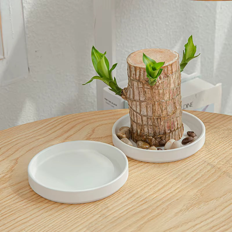 Ceramic Brazilian Wood Pot