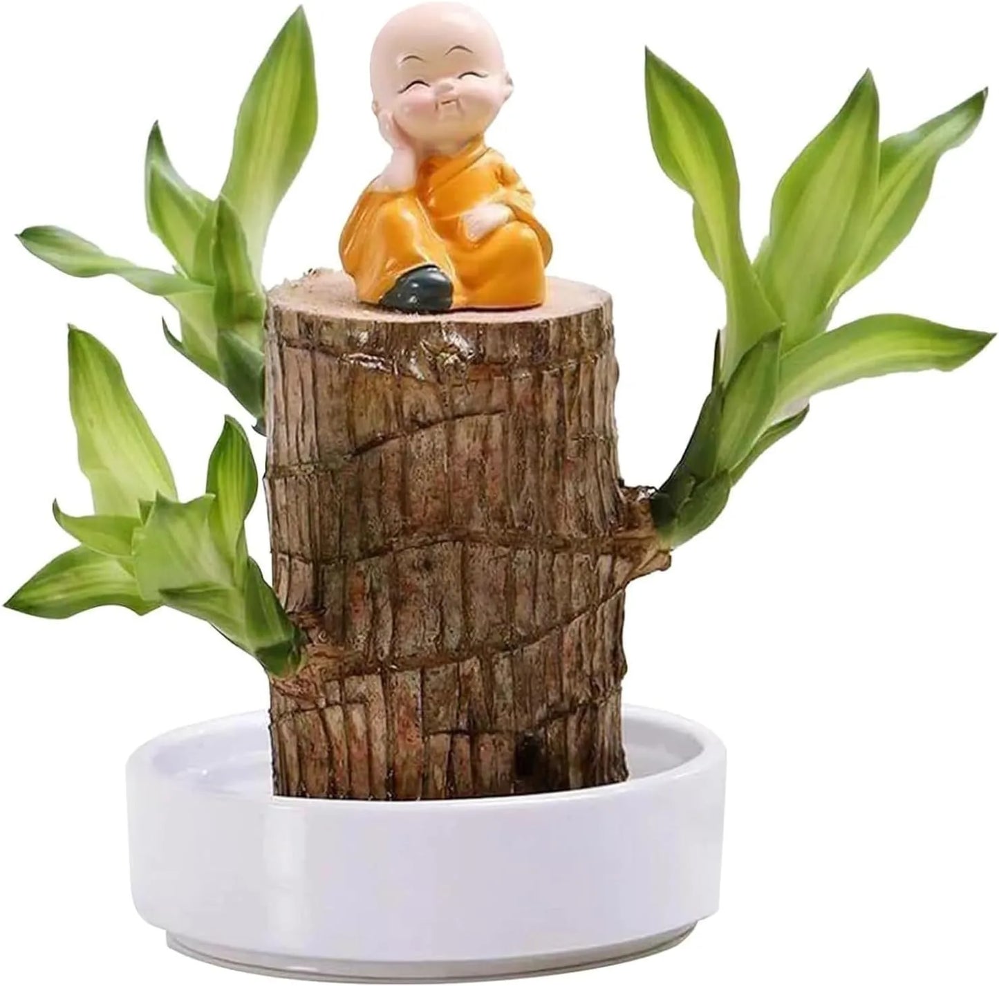 Brazilian Lucky Wood