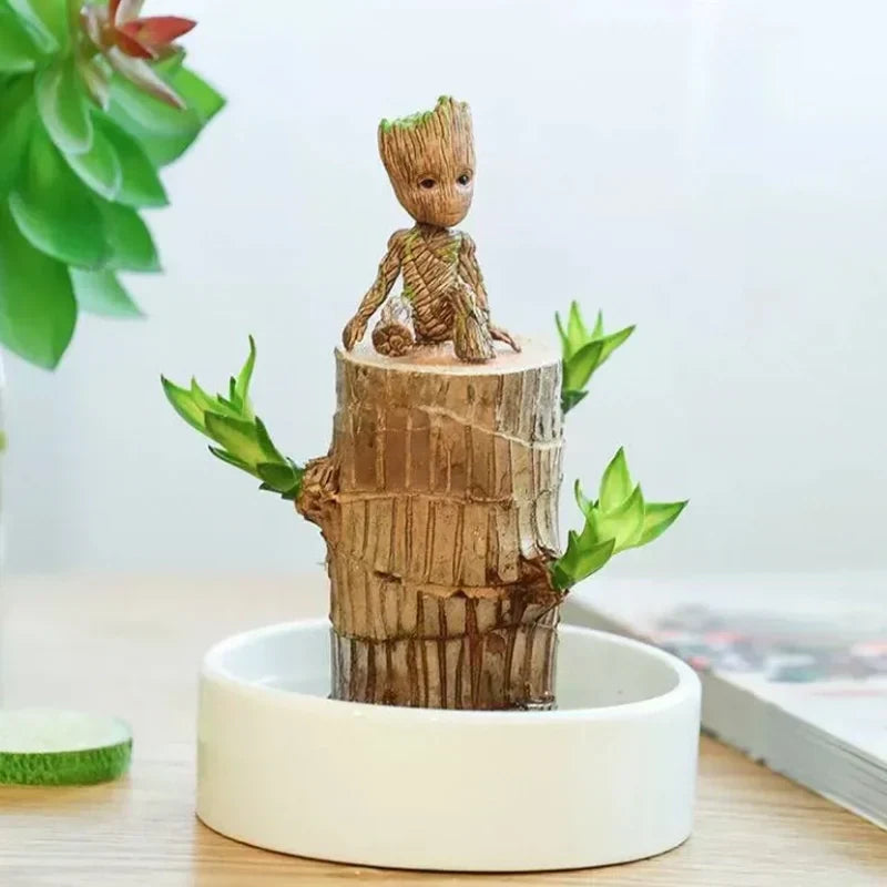 Brazilian Lucky Wood