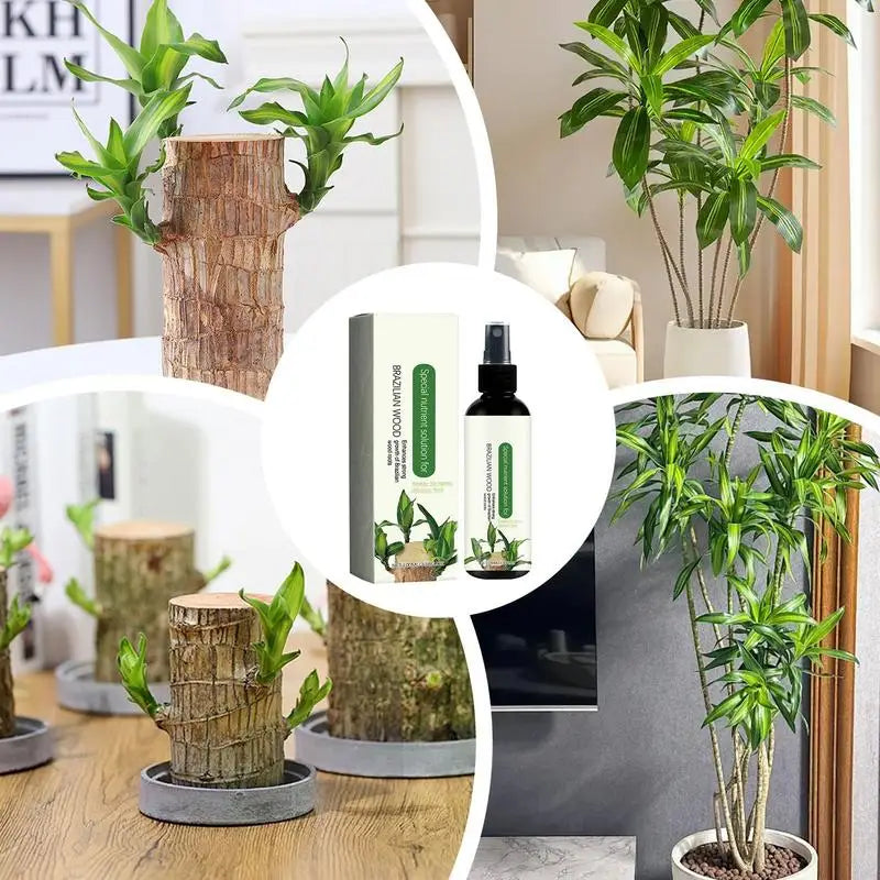 Brazilian Wood Fertilizer 100ml