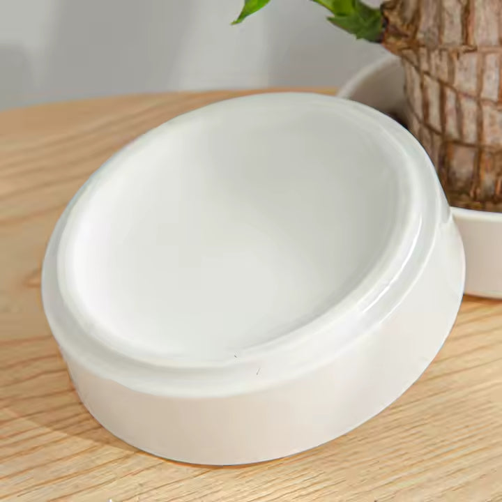 Ceramic Brazilian Wood Pot