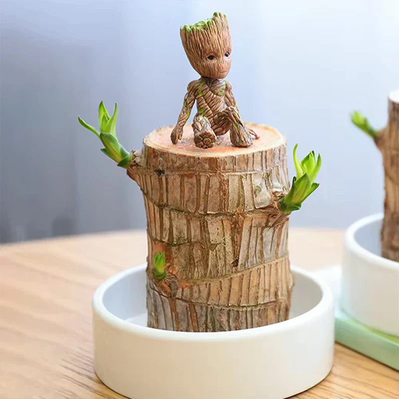 Brazilian Lucky Wood
