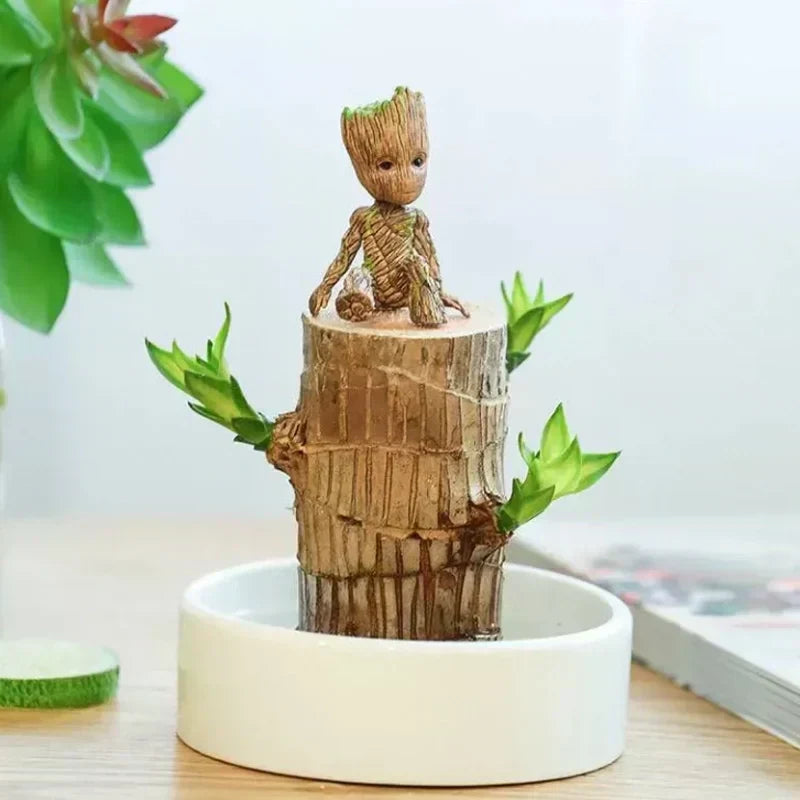 Brazilian Lucky Wood