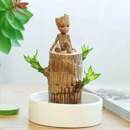 Brazilian Lucky Wood