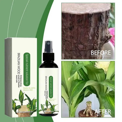 Brazilian Wood Fertilizer 100ml