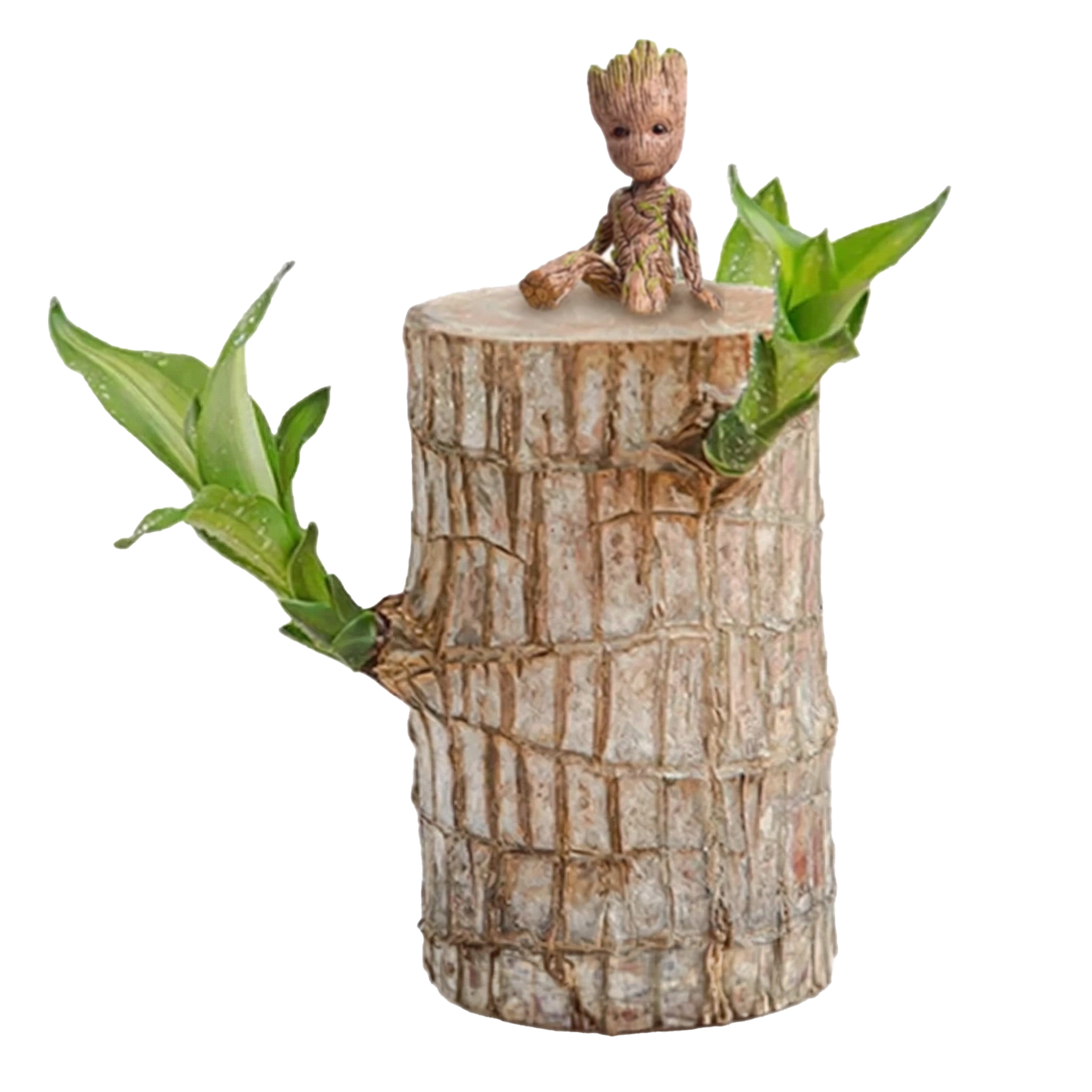 Brazilian Lucky Wood