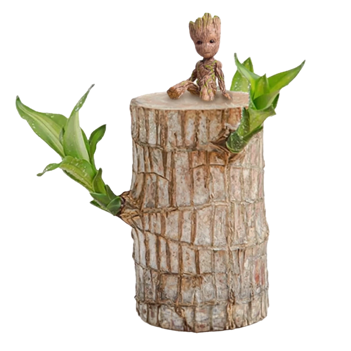 Brazilian Lucky Wood