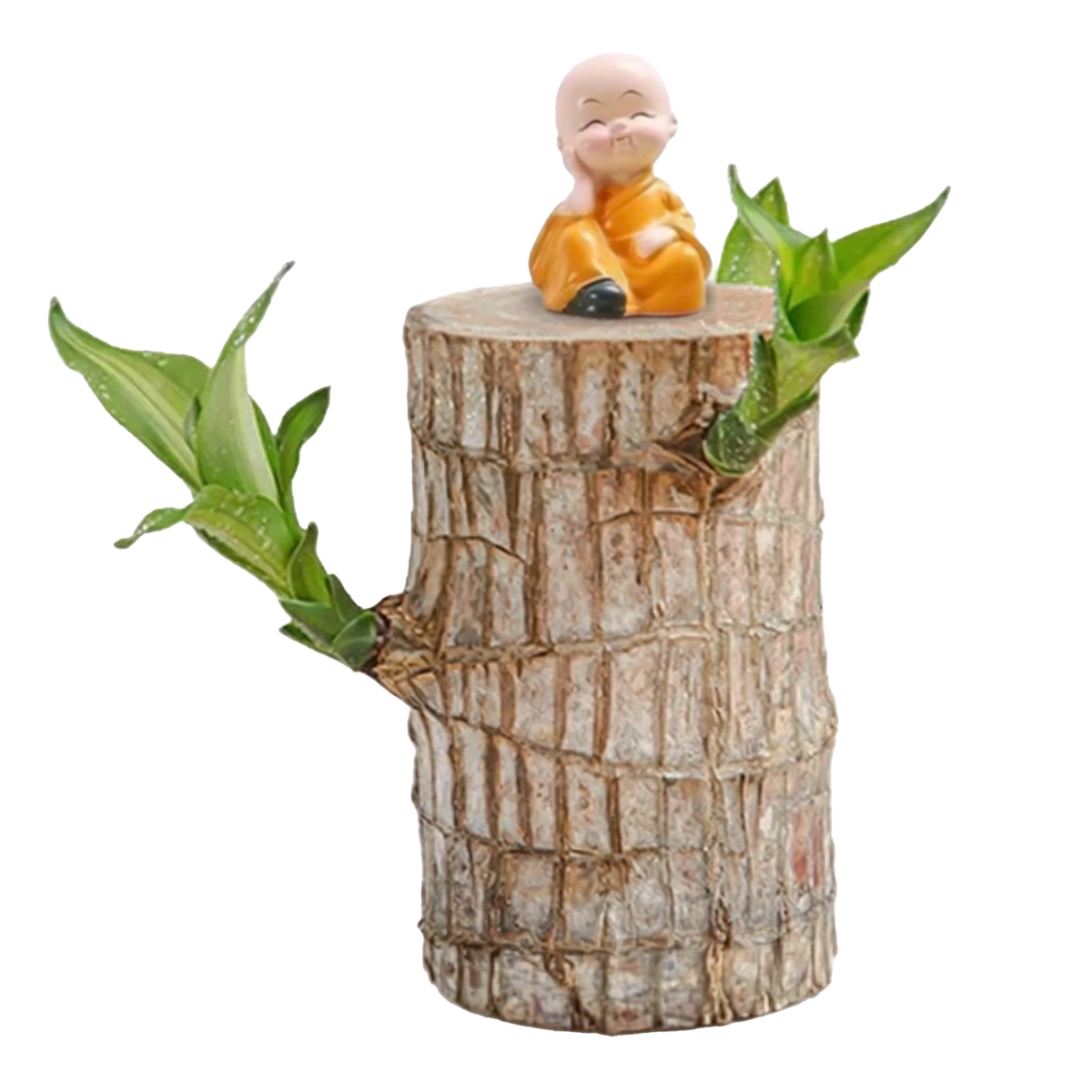 Brazilian Lucky Wood