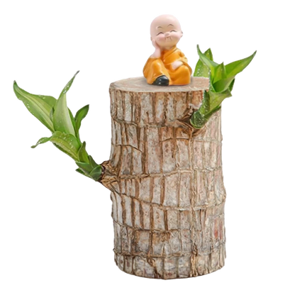 Brazilian Lucky Wood