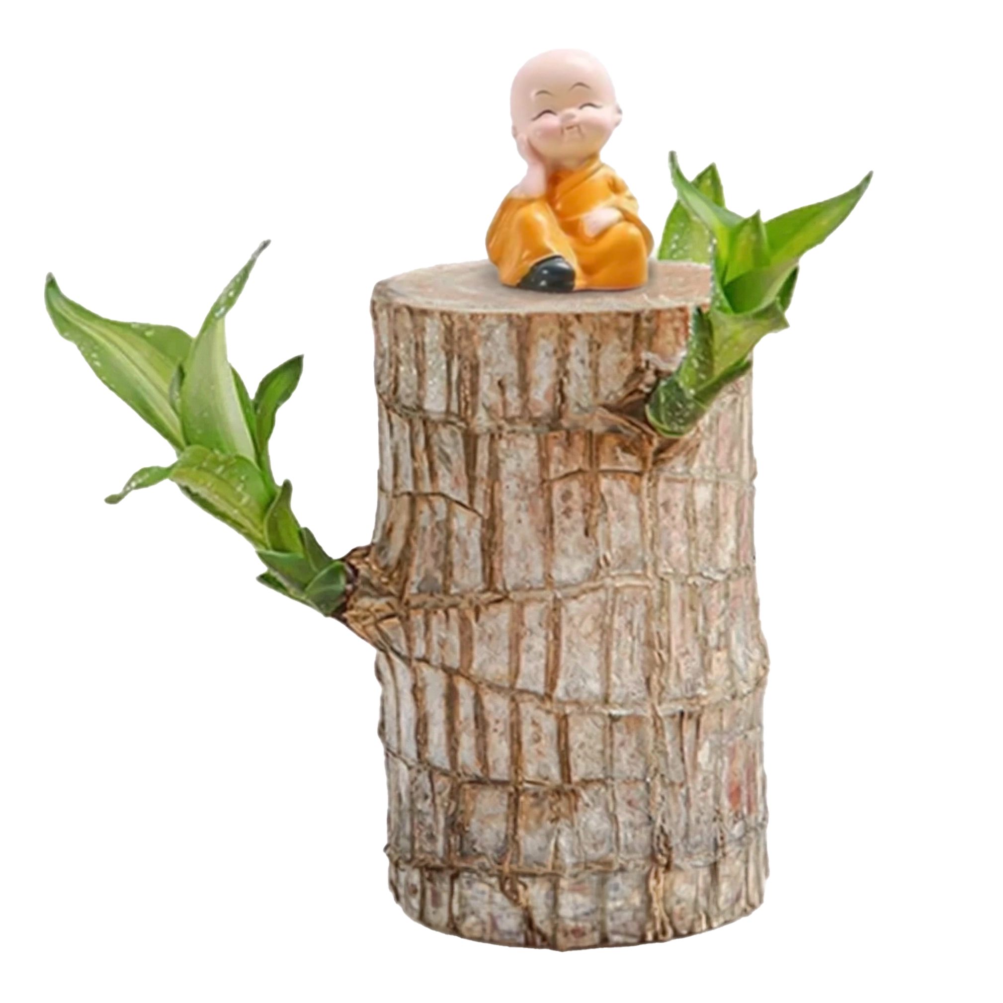 Brazilian Lucky Wood