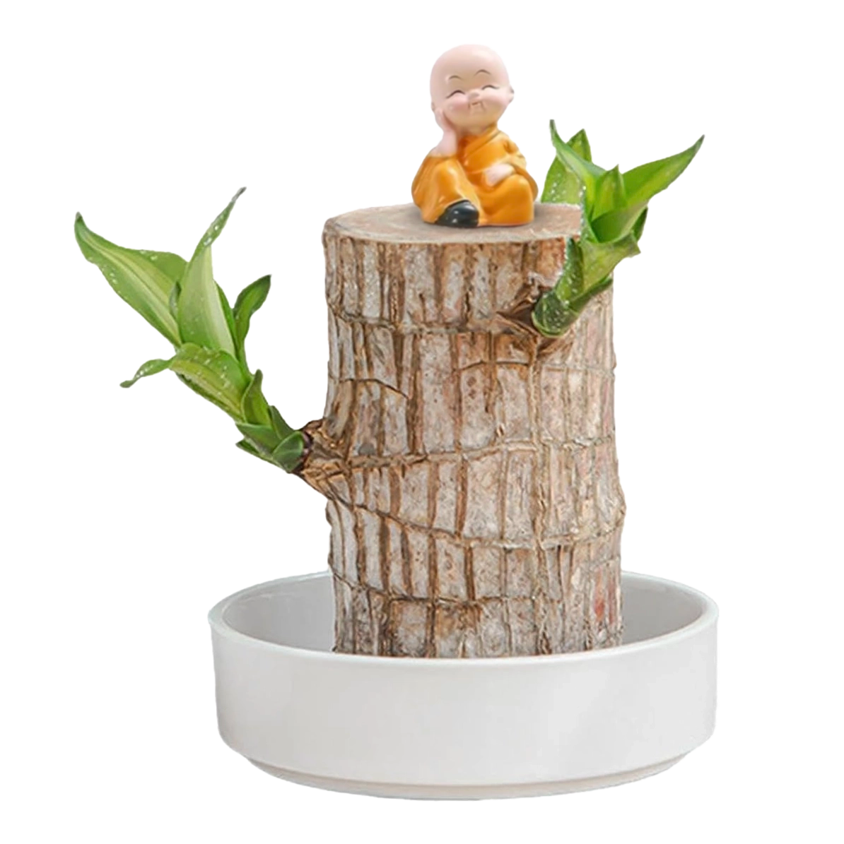 Brazilian Lucky Wood