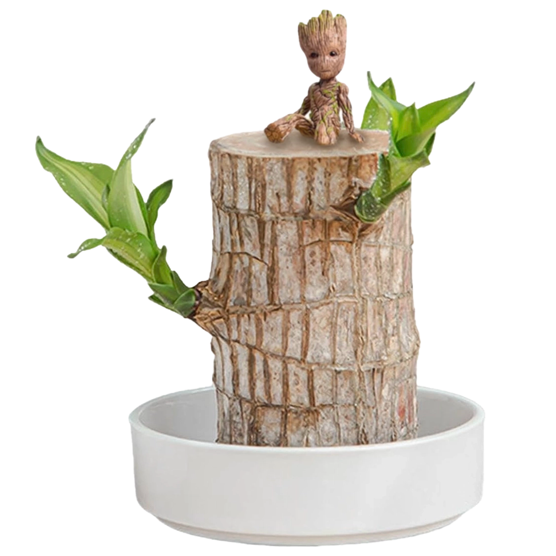 Brazilian Lucky Wood
