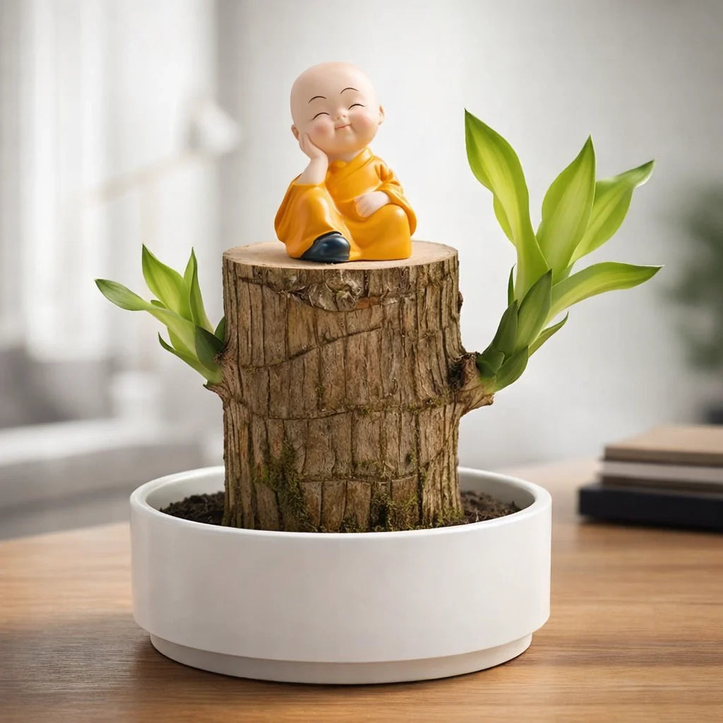 Brazilian Lucky Wood
